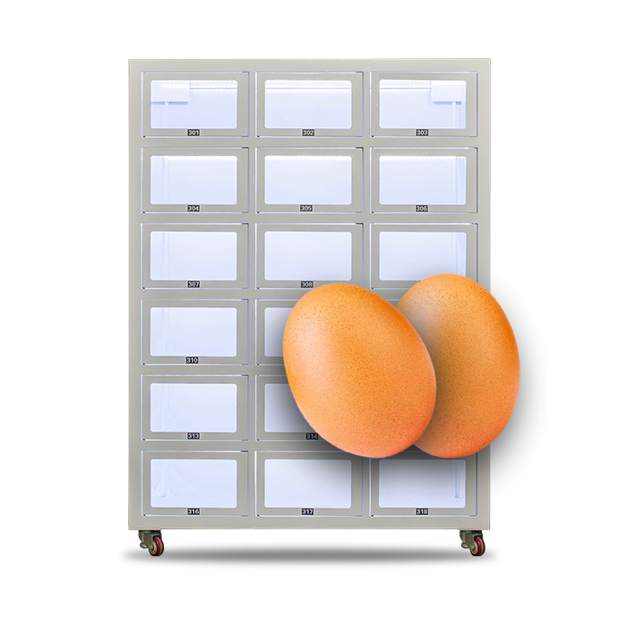 Locker Vending Machine
